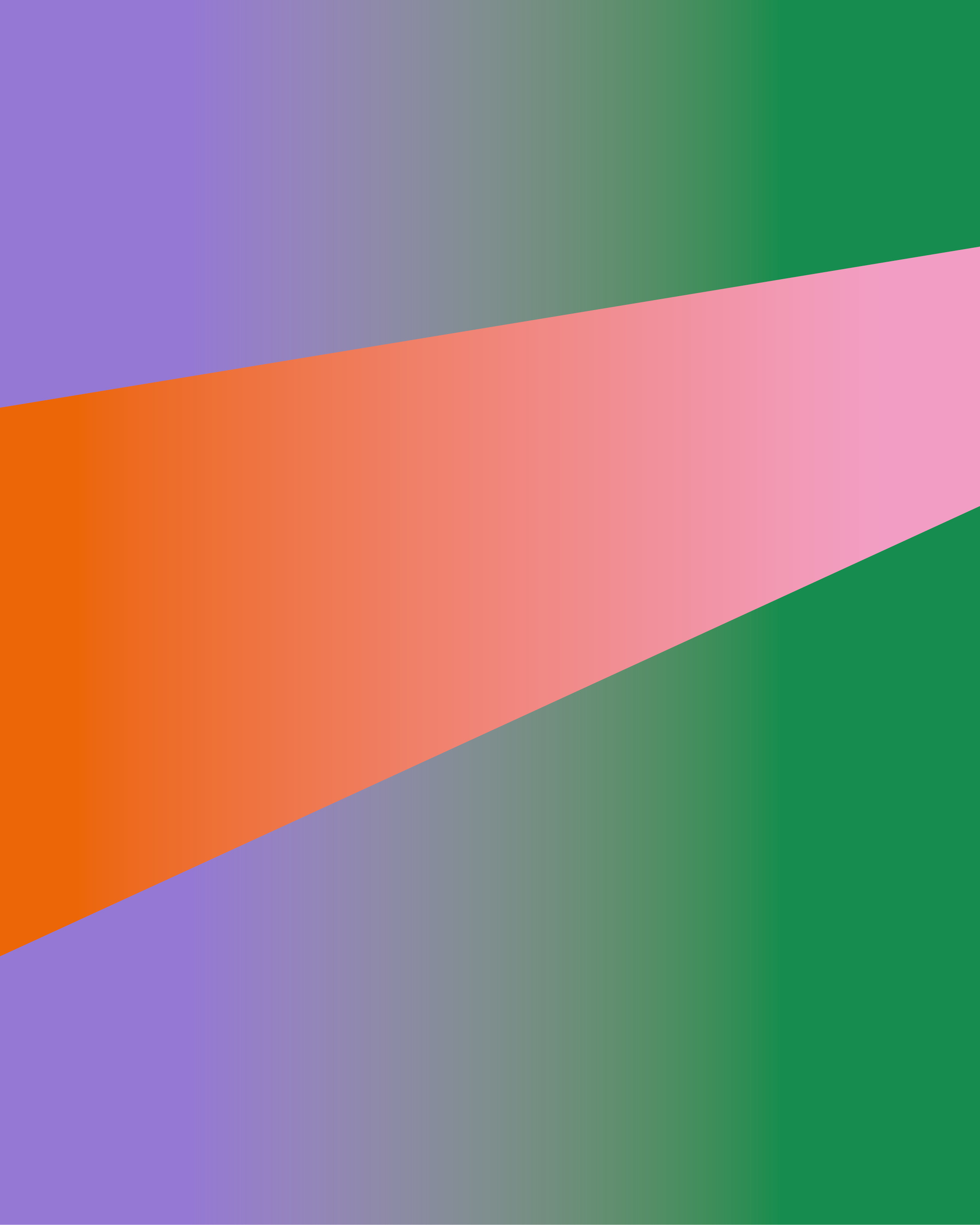 近日公開: SUSAN BIJL X 75B 